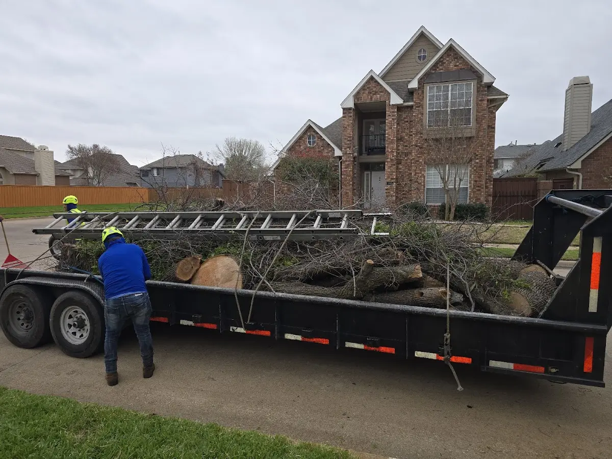 Expert Tree Fertilization with proper safety equipment in Granbury